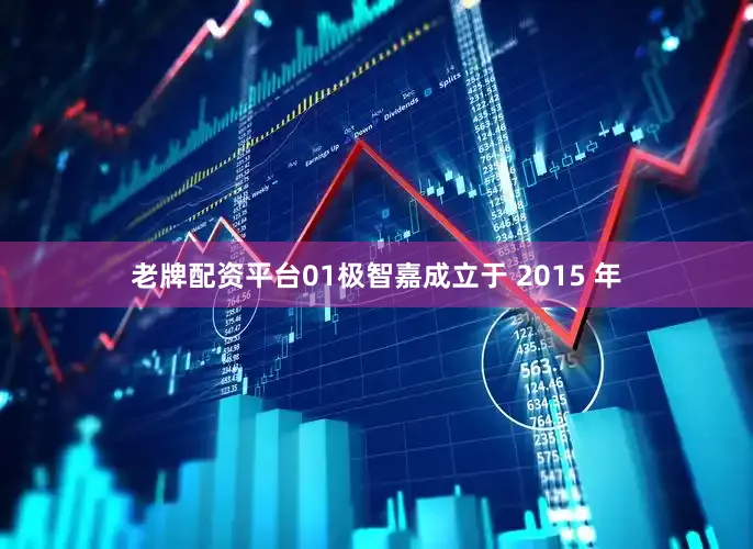 老牌配资平台01极智嘉成立于 2015 年