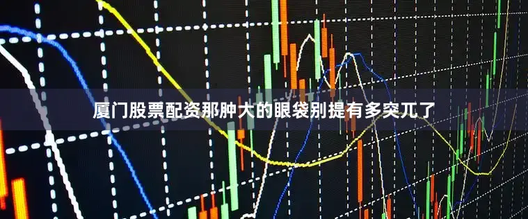 厦门股票配资那肿大的眼袋别提有多突兀了