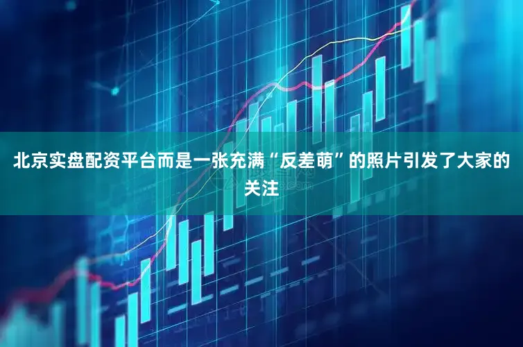 北京实盘配资平台而是一张充满“反差萌”的照片引发了大家的关注