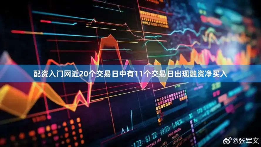 配资入门网近20个交易日中有11个交易日出现融资净买入