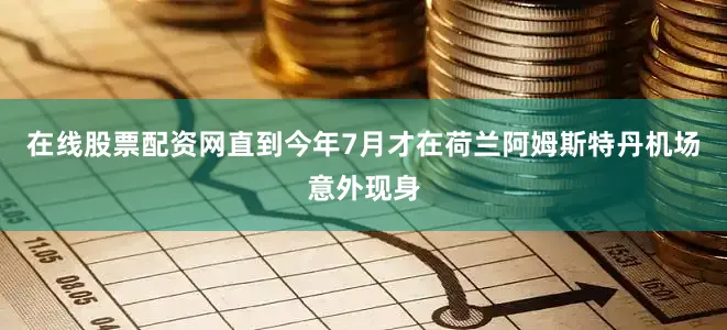 在线股票配资网直到今年7月才在荷兰阿姆斯特丹机场意外现身