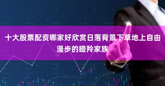 十大股票配资哪家好欣赏日落背景下草地上自由漫步的瞪羚家族