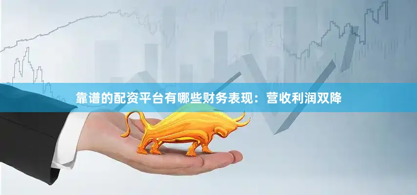 靠谱的配资平台有哪些财务表现：营收利润双降